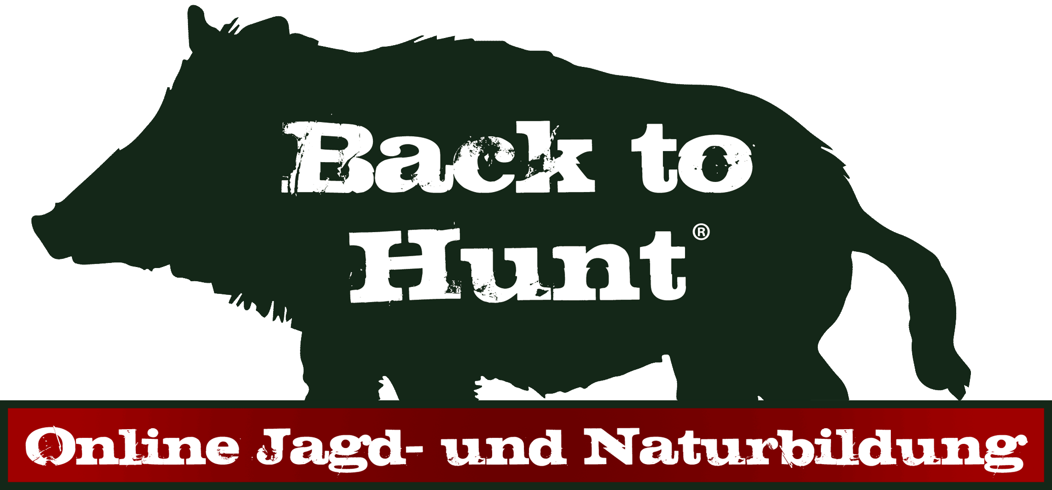 Back to Hunt